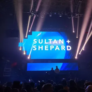 Sultan +Shepherd 8/19/23