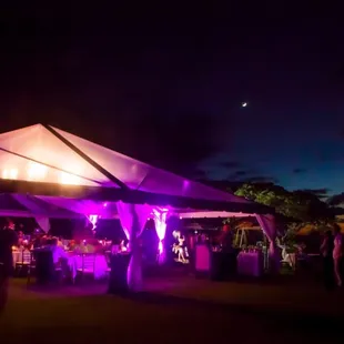 Our purple up lighting!!!