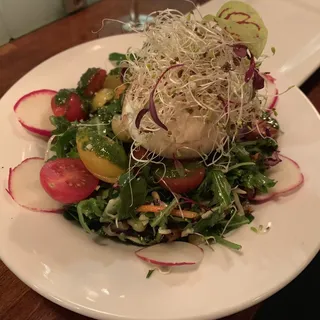 Burrata Salad