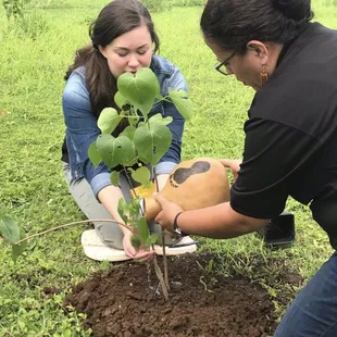Plant a Legacy Tree. You can track it's growth online!