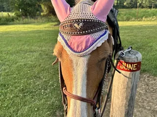 Double J Stables and Horseman's Campground