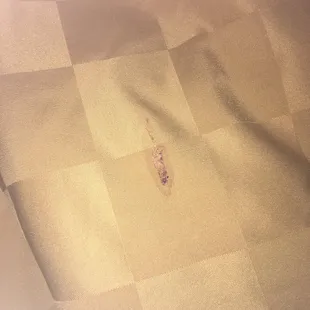 Nasty blood stain that came with my "clean" room