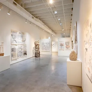 Taelor Fisher | Lisa Weiss Exhibition 2