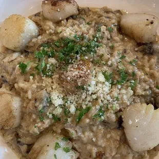 Porcini risotto