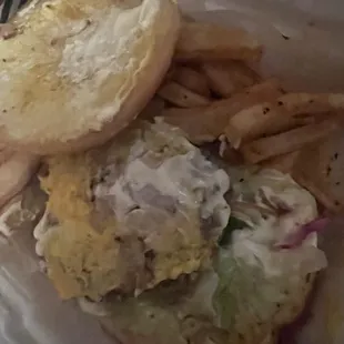 I said no MAYO they put it on everything including the fries someone needs glasses up there