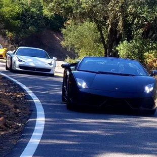 Napa Valley Exotic Touring Experience