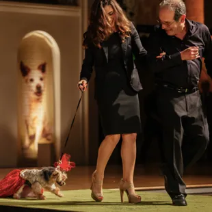 Fresno Home Show - Dog Show video support