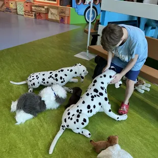 In the vet area of imaginary play.