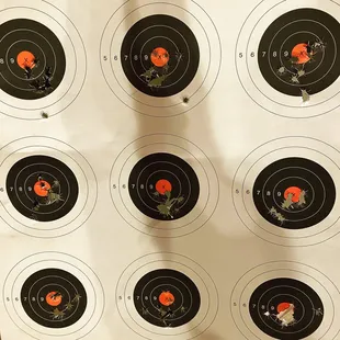 When I went into this class I was barely able to get a shot on the target paper. First day to the range after the class, I'm dialed in!