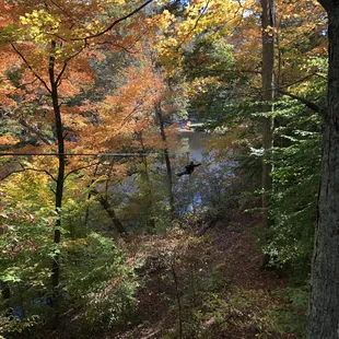 That's me on the last Zip!!! Gorgeous view!!!!!!