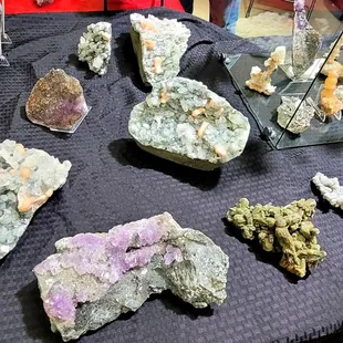 Fossils/Minerals