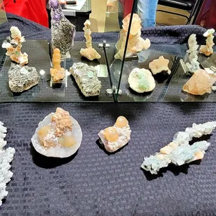Fossils/ Minerals