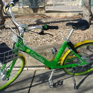LimeBike Rental