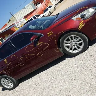 This Malibu has damage from right front end to right passenger door