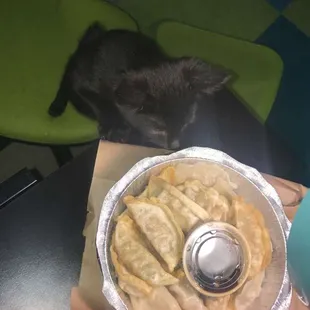 Another half fried half steamed!