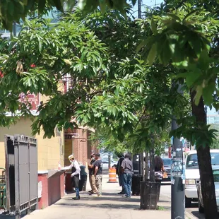 Looking northwards towards the nearby competition.