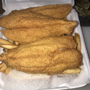 Cats fish fillets dinner