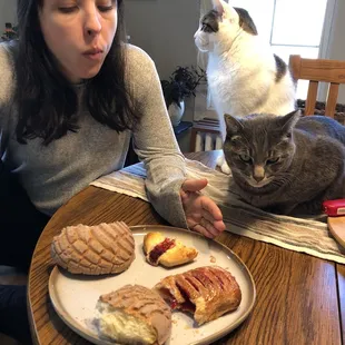 Even the cats enjoyed them