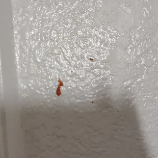 Dried blood on the wall of the bathroom