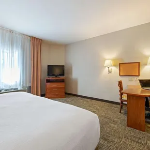 Studio Suite - 1 King Bed