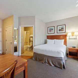 Studio Suite - 1 Queen Bed