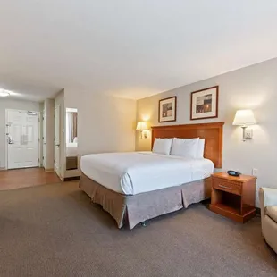 Studio Suite - 1 Queen Bed