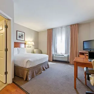 Studio Suite - 1 Queen Bed