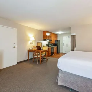 Studio Suite - 1 Queen Bed