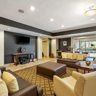 Lobby and Guest Check-in
