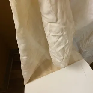 Shower curtain!  Disgusting!  The top of the shower was dripping with hair and disgusting yellow stains!