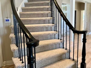 Carpet Land