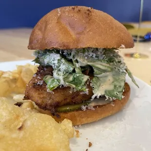 Crispy chicken ceasar salad sandwich