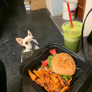 Veggie Burger w/Green juice