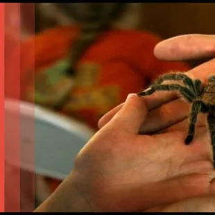 Extreme Animals