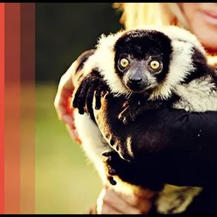Extreme Animals