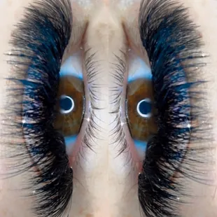 New year new lashes