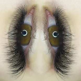 Make you do a double take