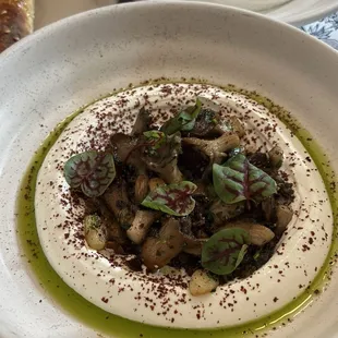 Mushroom Borani