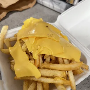 Ordered cheese fries