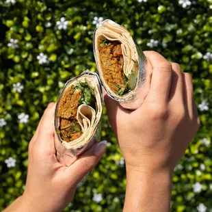 Falafel wrap