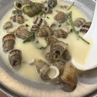 Coconut snails