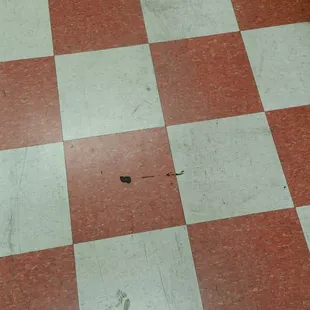 This place is a craphole.