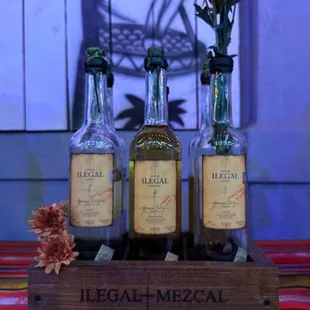 Ilegal Mezcal