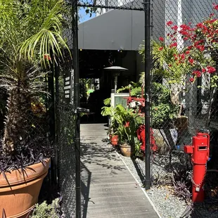 Beautiful patio