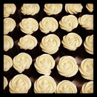 Mini Cupcakes