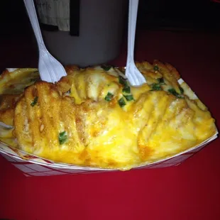 Serious cheese fries