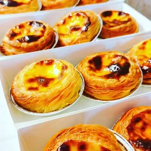 First Egg TartsYummy