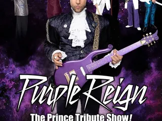 Purple Reign - THE Prince Tribute Show