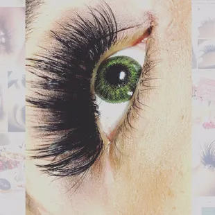 Volume Lash by Candyce!