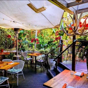 The Magical Dining Garden